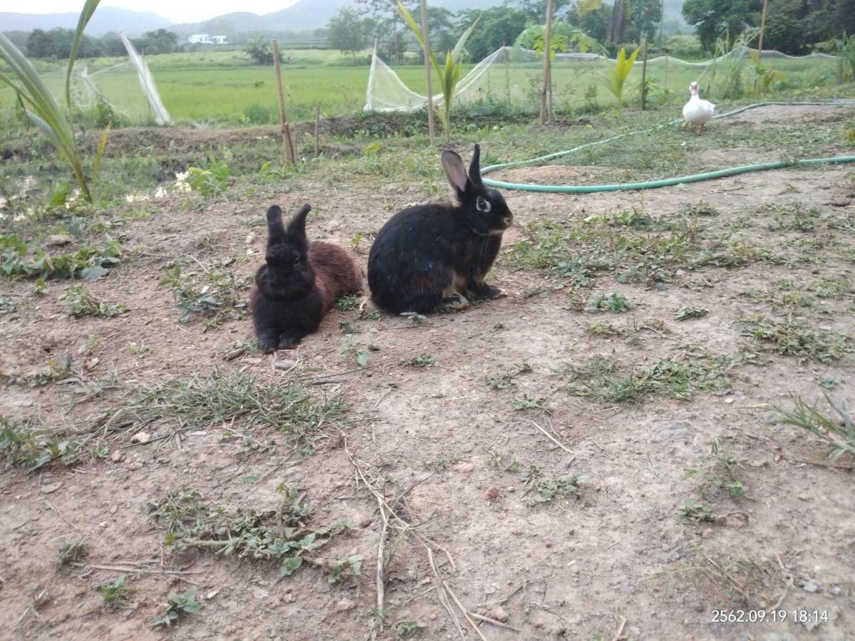 Baan Suan Jantra Home Stay Csiangraj Kültér fotó